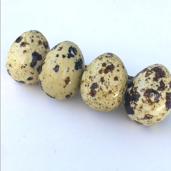 Barrette- Real Quail Eggs! Handmade and Laquered - Picture 1 of 3